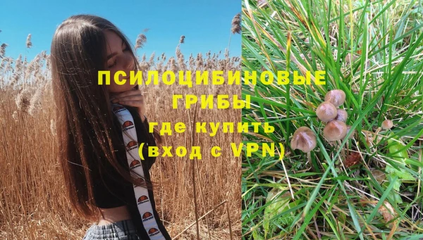 спиды Балахна