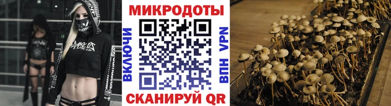 закладка  Черняховск  Галлюциногенные грибы MAGIC MUSHROOMS 